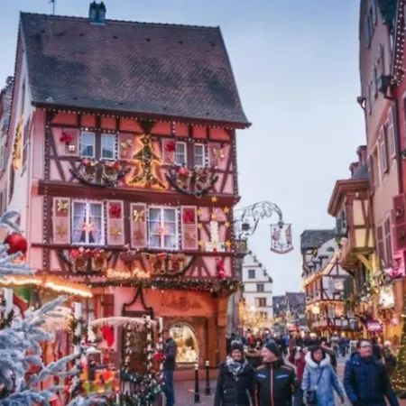 Appartement Cosy Indépendante évasion 2 Proximité Colmar *