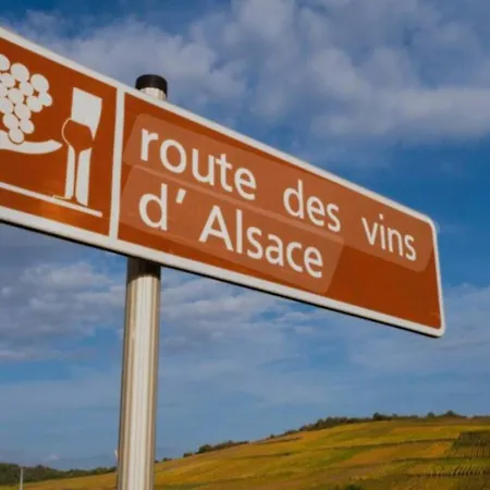 Cosy Indépendante évasion 2 Proximité Colmar * Wintzenheim