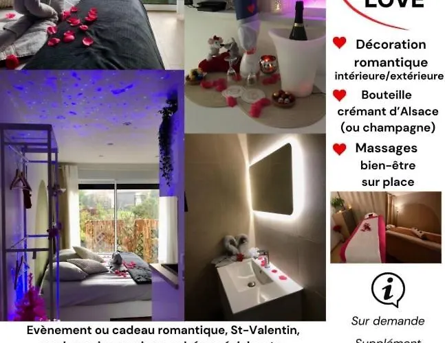 Apartment Cosy Independante Evasion 2 Proximite Colmar