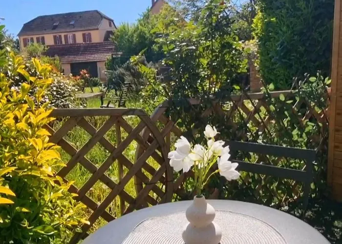 Cosy Independante Evasion 2 Proximite Colmar Wintzenheim